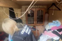 Мать убила детей в доме.