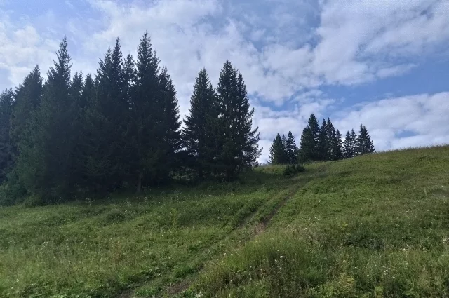 Село Кулики находится в 140 километрах от Перми