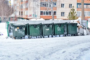 В городе мусорные баки оснастили механизмом для самостоятельного передвижения.
