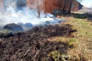 В 14 МО Оренбуржья введён особый противопожарный режим