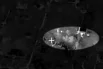Российские военнослужащие поразили пункт временной дислокации личного состава ВСУ.