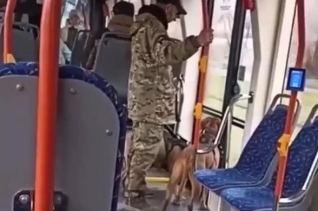 У собак не было намордников