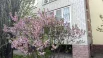 В Омске весна развернулась во всей красе.