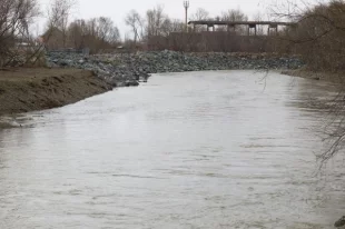 За два года во Владимировке проведен ряд мероприятий по берегоукреплению.