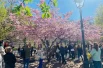 В Саду Дружбы на Литейном проспекте.