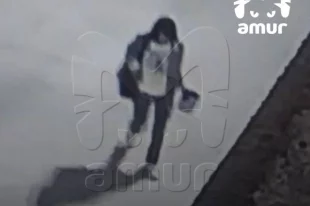 Уголовное дело будет рассматриваться в Артемовском городском суде
