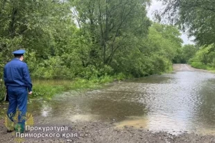 Также спасатели отмечают, что к обеду 6 мая от воды освобождены жилой дом в селе Кокшаровка Чугуевского округа и 20 из 51 приусадебных участков в Спасске-Дальнем и Чугуевском округе