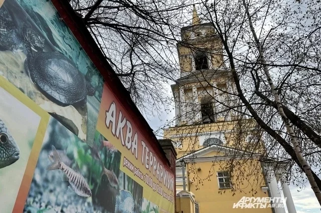 Акватеррариум в Перми