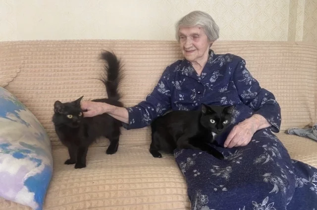 У Дины Петровны настоящее кошачье царство: пять кошек и кот. 