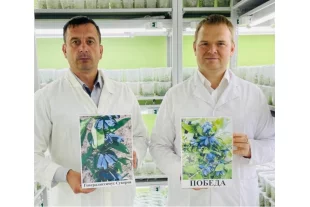 Исполнительный директор Научно-производственного центра «Агропищепром» Сергей Колесников (справа) и замдиректора по инновационным технологиям НПЦ «Агропищепром» Дмитрий Брыксин.