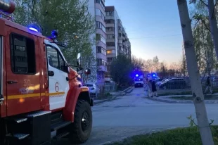 Пожарные прибыли на место происшествия через пять минут после вызова.
