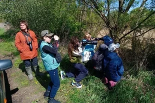 Весенние трели пернатых привлекают не только самок, но и бёрдвотчеров.