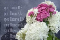 Память сильнее времени. Оренбуржцы рассказывают о своих дедах-фронтовиках