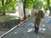 Выставка картин на открытом воздухе.