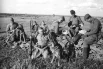 Великая Отечественная война 1941-1945 гг. Отряд истребителей танков с собаками, которым подвешивали взрывчатку. Южный фронт. Лето 1942 года.