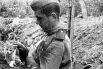 Советский связист гладит котенка на бруствере траншеи.