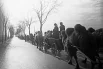 Великая Отечественная война 1941-1945 гг. Повозки, запряженные верблюдами, на подступах к Берлину.