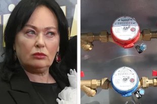 АО «Мосводоканал» подал к актрисе иск о взыскании задолженности за водоснабжение этого особняка.