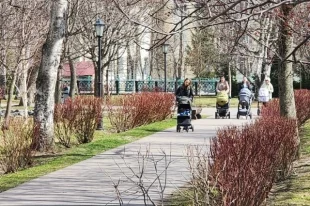 В Южно-Сахалинске днем без существенных осадков, температура +17...+19°С.