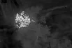 Военнослужащие мелкими группами преодолели открытый участок местности с мощным противотанковым рвом и укрепились в лесопосадке, постепенно выбивая противника из своих убежищ. 