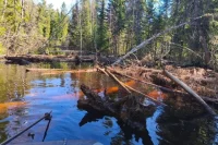 Вода сильно поднялась из-за ледяных заторов и поваленных деревьев, которые затрудняют течение.