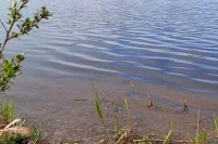 В Оренбурге возобновили поиски утонувшего у Красной площади мальчика