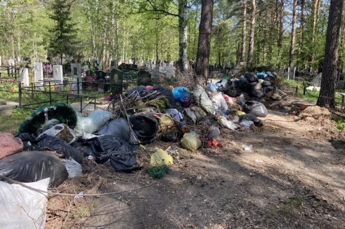 В алтайском селе животные портят могилы на кладбище