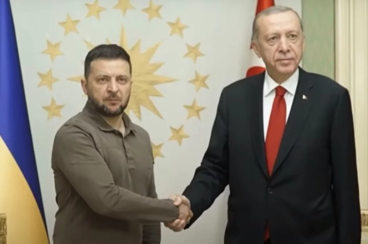 Anadolu: встреча Эрдогана и Зеленского в Анкаре завершилась