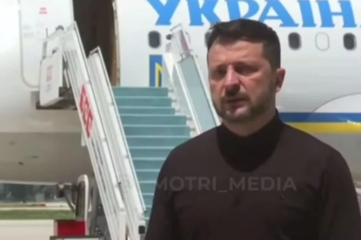 Профайлер Анищенко отметил «гримасу проигравшего» у Зеленского в Стамбуле