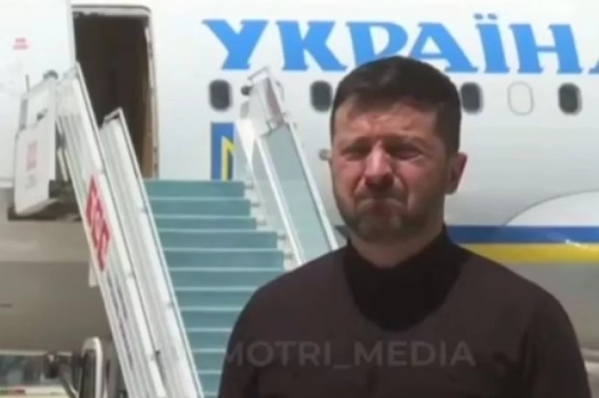 Обижен и напуган: профайлер Анищенко разобрал поведение Зеленского в Турции