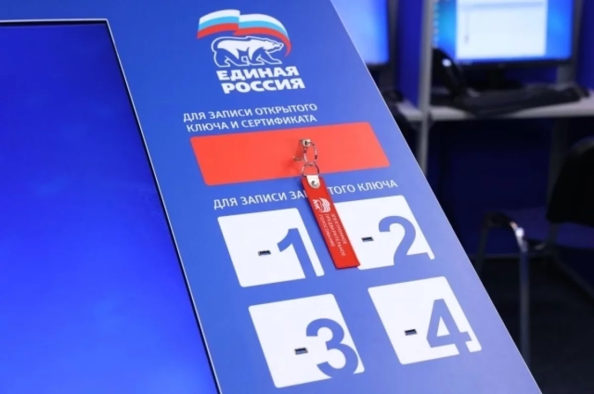 Сделать свой выбор. Стартовало предварительное голосование ЕР