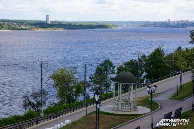 Один из лосей подплыл к набережной Камы