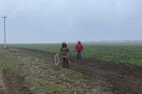 Особенная опасность для посевов была в том, что неоднократно случались заморозки. 