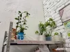 Центр работает каждую среду и субботу в «Редакции» с 13 до 18 часов, а каждые две недели будут проходить свопы (бесплатный обмен вещами).