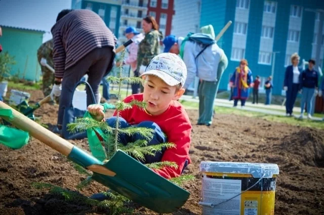 В Нижневартовске в парке Победы высадили более ста саженцев ели.