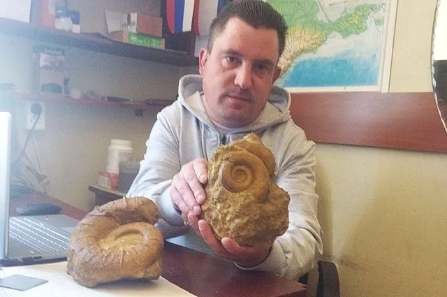 Виталий Родионов: такие аммониты часто встречаются в крымских карьерах.