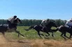 Скачки - центральное событие любого сабантуя.