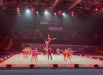 Гимнасты показывали мастерскую хореографию.