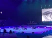 Более 500 участников приняли участие в шоу.