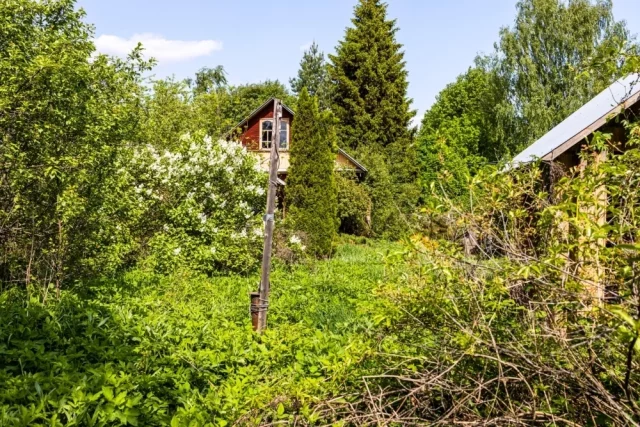 Участки в садах и огородах не должны зарастать сорняками. 