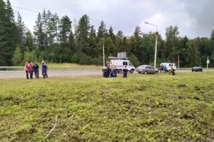 Всем отправляющимся в лес советуют выбирать яркую одежду и обязательно брать с собой воду, необходимые лекарства (если вы их принимаете), перекус, полностью заряженный телефон, зажигалку