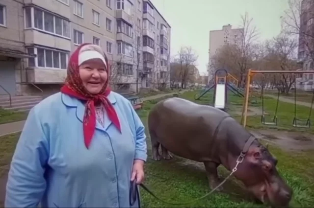 Шуфутинов день: что это за праздник и когда его отмечают?