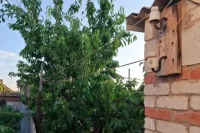 Мальчик схватил за оголенный провод. 
