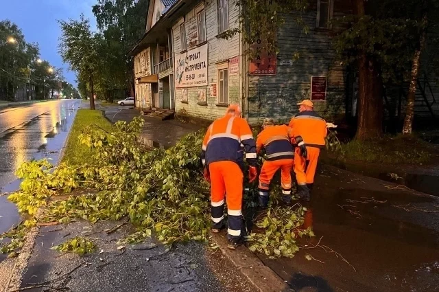 Службы устраняют последствия шторма. 