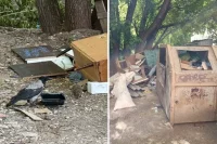 Злополучная свалка на улице Фонтанной и её коренные обитатели