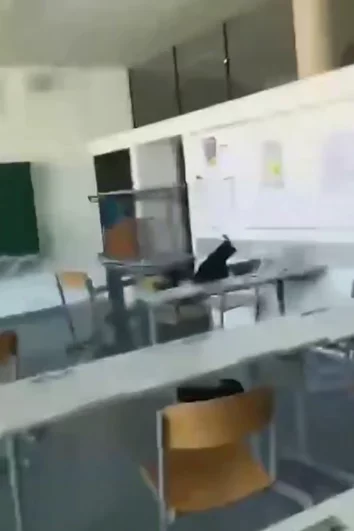 Тяжелораненых на вертолете транспортируют в ближайшие больницы.