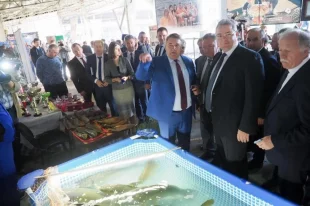 Алексей Рогов показывает руководству края селекционные достижения племзавода.Руководство