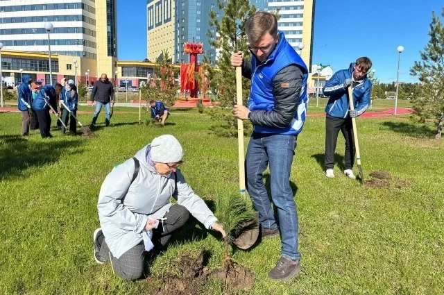 В Ханты-Мансийске участники акции «Сад памяти» посадили  80 кедров.