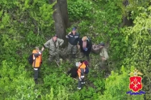Пенсионерка под Берёзовском проявила смекалку и размахивала пакетом, из-за чего её и заметили дроны.