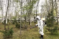 В городе обрабатывают территорию от насекомых. 